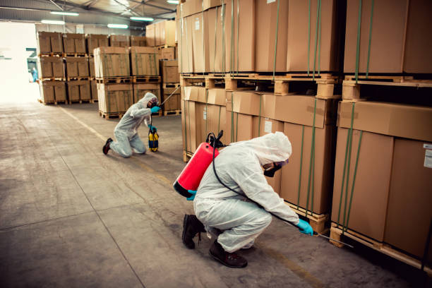 Best Pest Control Near Me  in North Edwards, CA