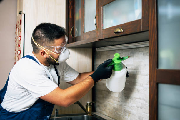 Best Commercial Pest Control Services  in North Edwards, CA