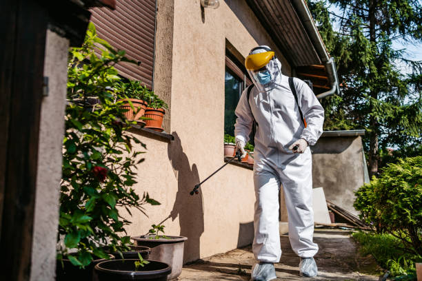 Best Pest Control for Restaurants  in North Edwards, CA