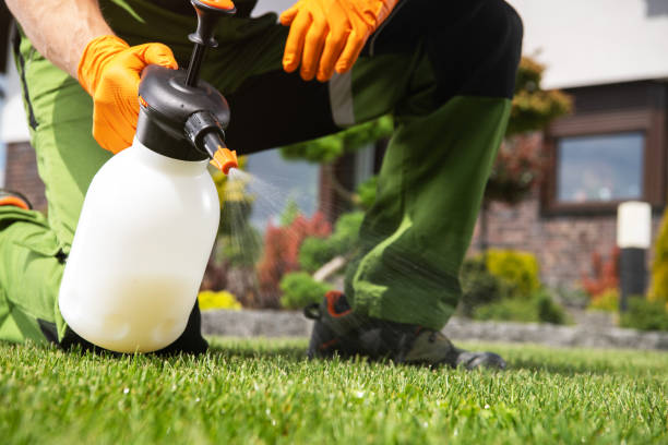 Best Pest Prevention Services  in North Edwards, CA
