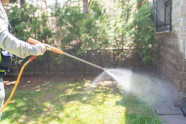 Best Best Pest Control Companies  in North Edwards, CA