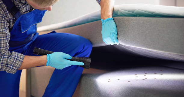 Best Pest Inspection Near Me  in North Edwards, CA