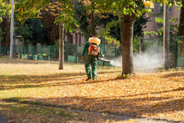 Wasp Removal Services in North Edwards, CA