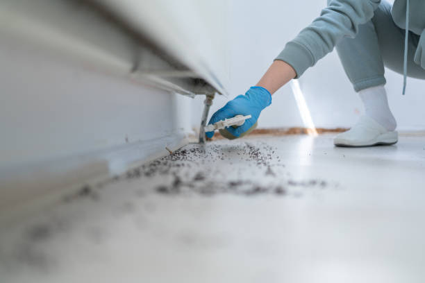 Wildlife Control Services in North Edwards, CA