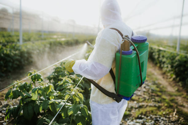 Best Ant Control Services  in North Edwards, CA